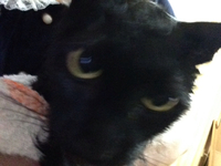 黒ちゃんお風呂