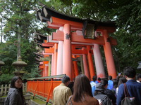 京都【伏見鳥居大社】へ行ってきた！