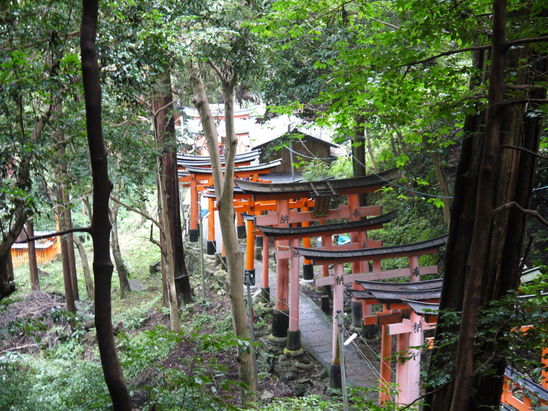 京都【伏見鳥居大社】へ行ってきた！