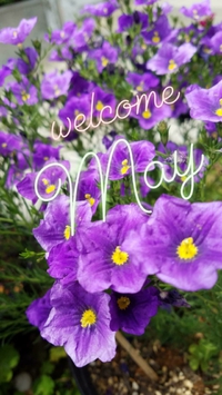 ５月start 2018/05/01 15:59:07