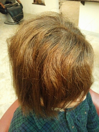 縮毛矯正で艶やかヘアー 2013/08/26 00:09:00