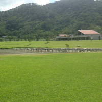 バンガロ〜♪ 2014/07/29 19:36:07