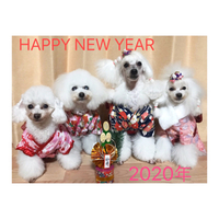 HAPPY NEW YEAR★2020 2020/01/02 18:26:00