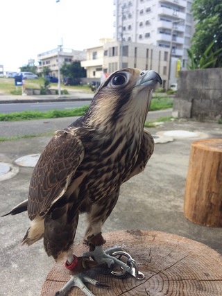 ◇　全員で日向ぼっこ　◇