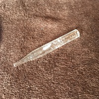 毛穴 2016/06/10 13:40:14