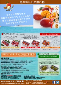ご家庭用アップルマンゴー3㎏　販売中止のお知らせ 2019/04/21 20:50:00