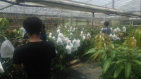 東京農業大学宮古実習 2016/08/06 12:00:00