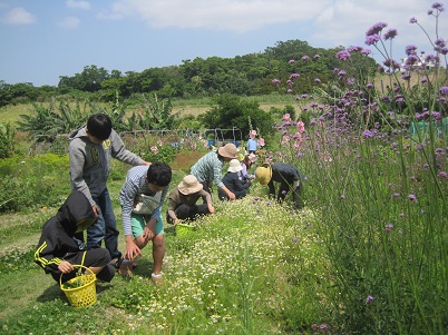 ハーブの里みどり農園4月の体験