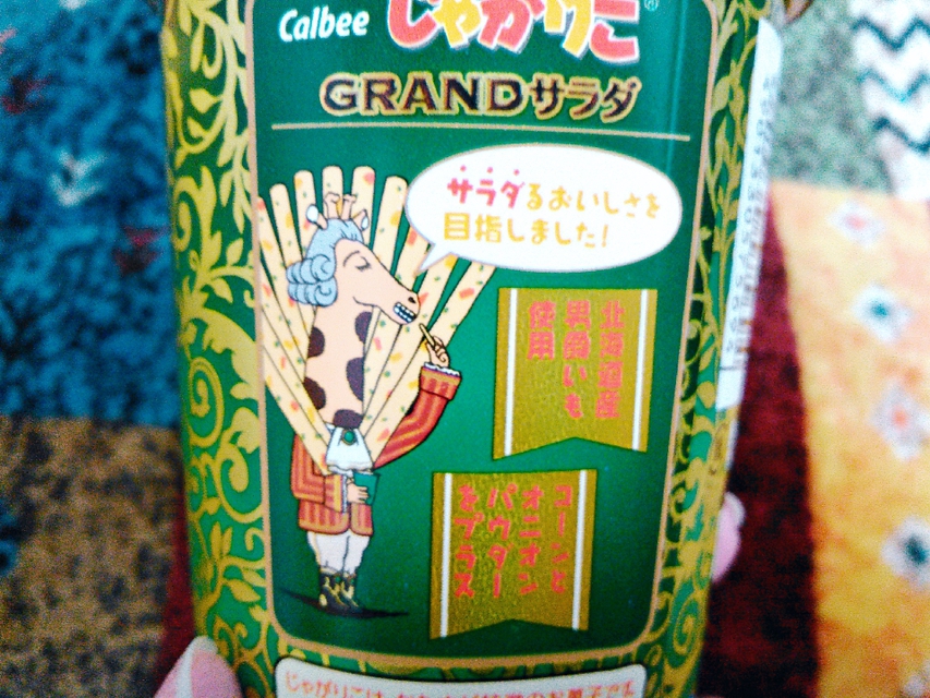 ちょっぴりリッチな【じゃがりこGRANDサラダ味！】