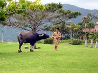 慰霊の日 2013/06/23 09:00:00