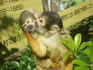 春うらら♪