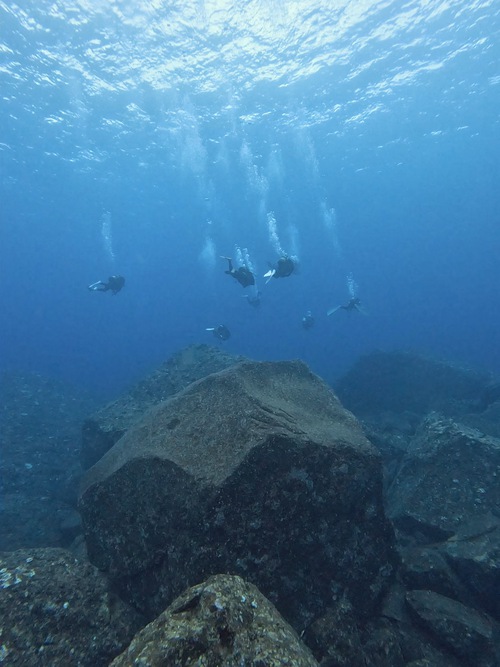 久米島②〜ウーマガイ好き