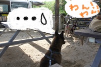 出会い(*^▽^*)♡