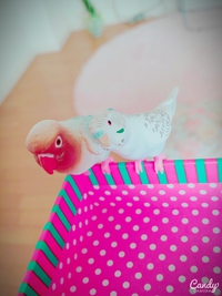 ♡goodmorning♡ 2015/07/27 08:26:39