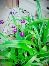 ♡誰ですか？♡ 2015/06/01 21:28:33