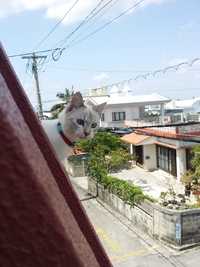 ♡はじめまして♡ 2015/04/16 21:59:03
