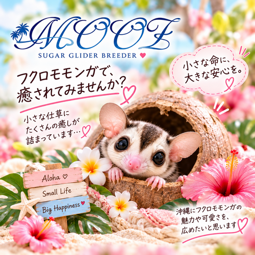 フクロモモンガ 沖縄 中部