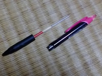 とうとうこの子も… 2021/04/18 23:52:44