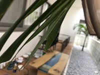 リバーテーブル完成 2021/06/19 17:13:07