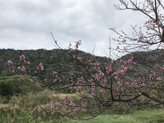 比地大滝へ！