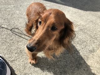 今日も晴れてて最高~^^ 今日も晴れてて最高~^^