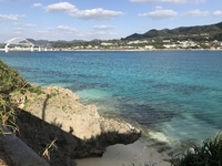 春みたいな、夏みたいな