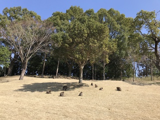 一年ぶりに三重県へ 一年ぶりに三重県へ