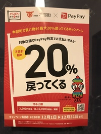 本部町×PayPayキャンペーンのご紹介 2020/12/04 17:22:30