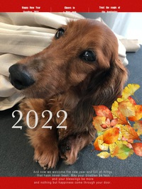 【2022年】今年もよろしくお願いします！ 2022/01/01 17:22:38