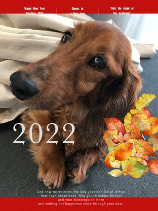 【2022年】今年もよろしくお願いします! 【2022年】今年もよろしくお願いします!