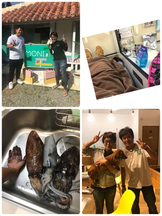 春休みモードなもすら~やです♪ 春休みモードなもすら~やです♪