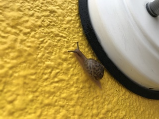 こんなところに! こんなところに!