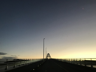 みんな海だね みんな海だね
