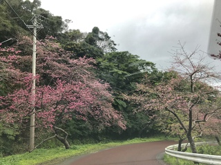 ワイワイ楽しい(*´꒳`*)