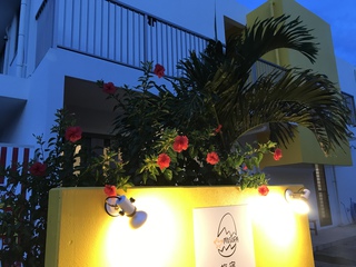 夏のゲスト様たち~ 夏のゲスト様たち~