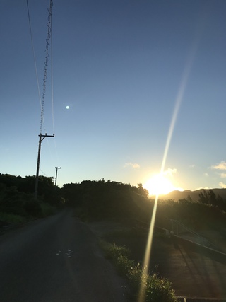 ワイワイしてます ワイワイしてます