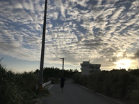 10月から地域共通クーポン 2020/10/10 09:01:18