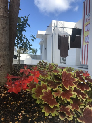 Resort Hostel ! Resort Hostel !