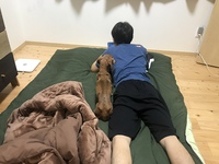 電気代下がってくる季節です 2021/11/03 13:38:18