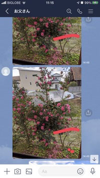 父のLINE 2020/12/07 11:51:31