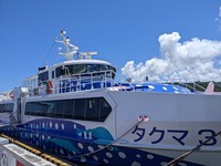 じんべえマリンでピクニック♪