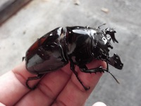 お世話会と頂き物と怪しきものと・・・