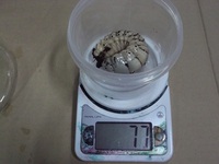 マルス　マット交換