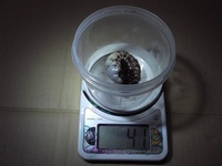 ケンタウルス　マット交換