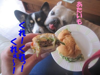吾郎の気持ちは・・・
