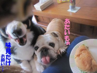 吾郎の気持ちは・・・