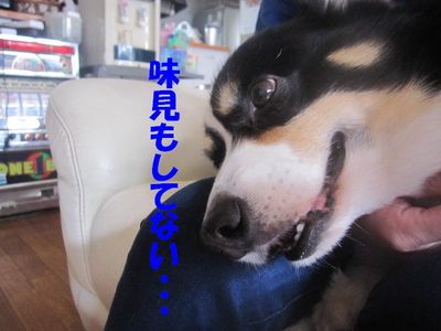 吾郎の気持ちは・・・
