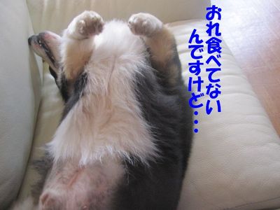 吾郎の気持ちは・・・