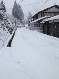足止め… 2014/02/15 15:00:44