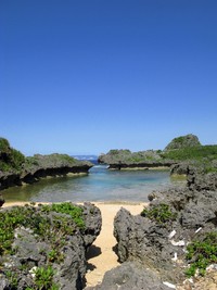 シークレットＮＯ１